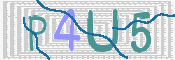 Diesen Code-Schnipsel bitte in das dazugehörige Textfeld eintragen