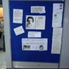 Das Bild zeigt gesammelte Texte über Rosemarie Anspacher