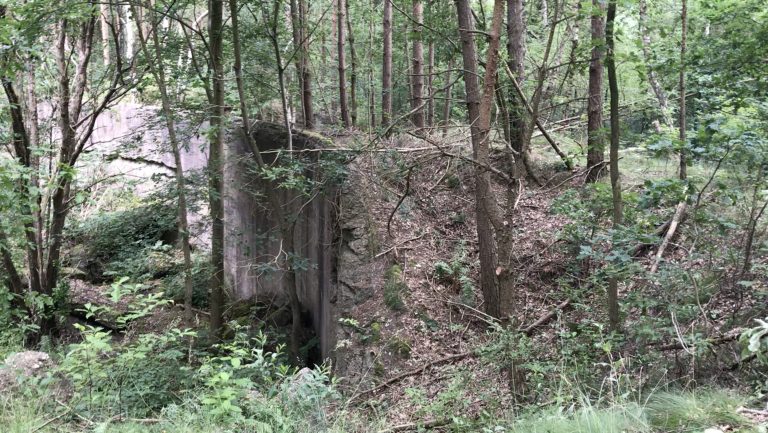 Die Überreste des KZ-Bunkers auf dem ehemaligen Lagergelände, 2023. Foto: Anja Hasler